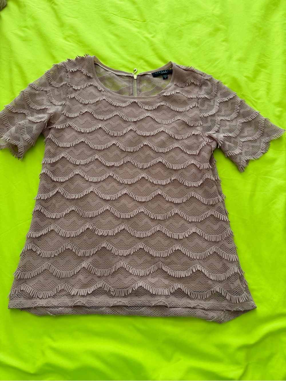 Sanctuary Taupe Scallop Lace Short Sleeve Top